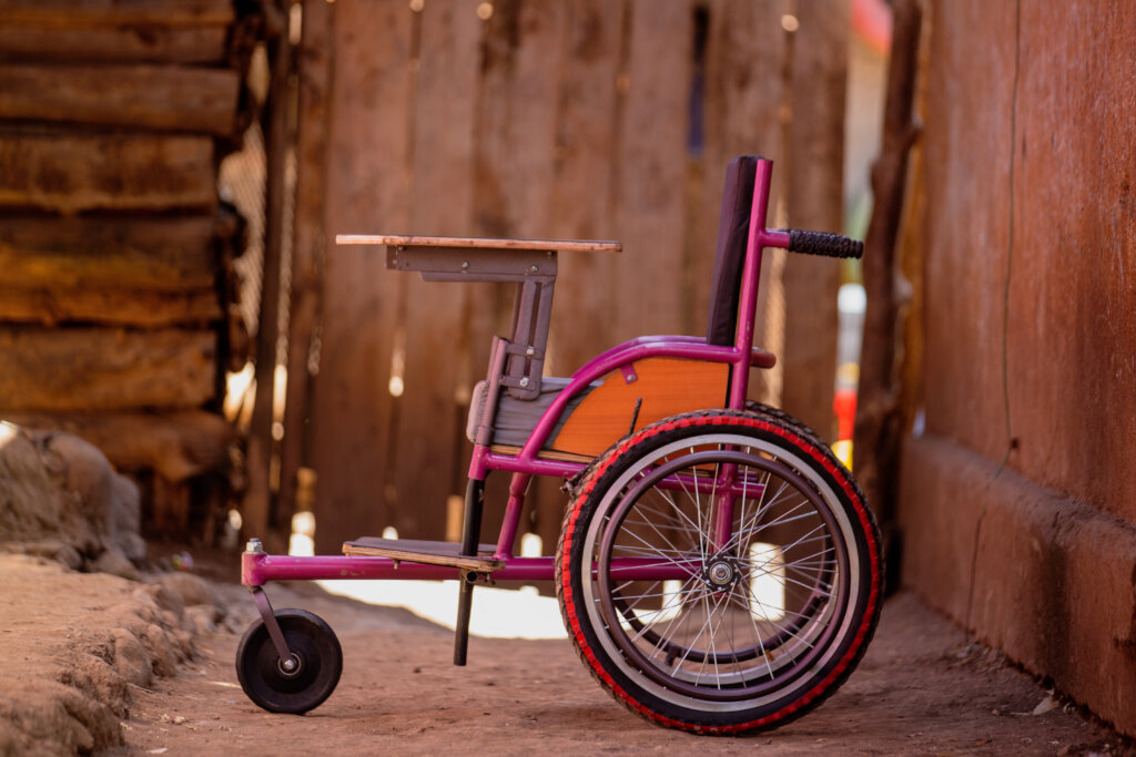 Assist our Rehabilitation and Therapy Outreach.