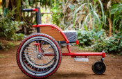 Assist our Rehabilitation and Therapy Outreach.