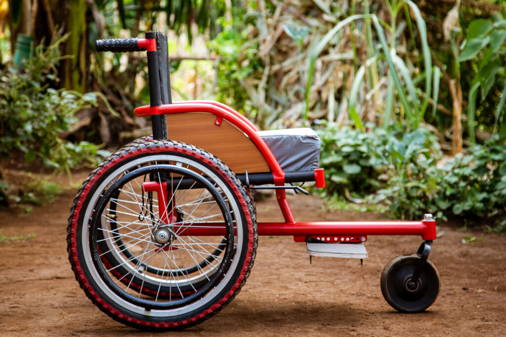 Assist our Rehabilitation and Therapy Outreach.