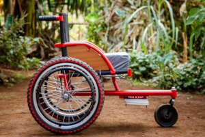 Assist our Rehabilitation and Therapy Outreach.