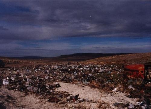 Basur-Environmental Education