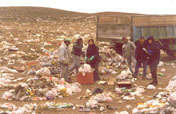 Basur-Environmental Education