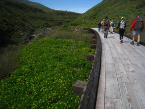 Hikers on the Klickitat Trail