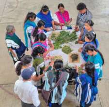 Healing knowledge, hands that share