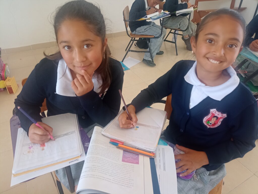 Promoting Gender Equality in Public Schools.