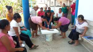 Mujeres de San Jose Patwits trabajando semilleros