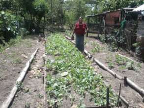 Garden harvest