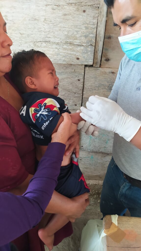 Strengthening the health of 99 Tseltal families.