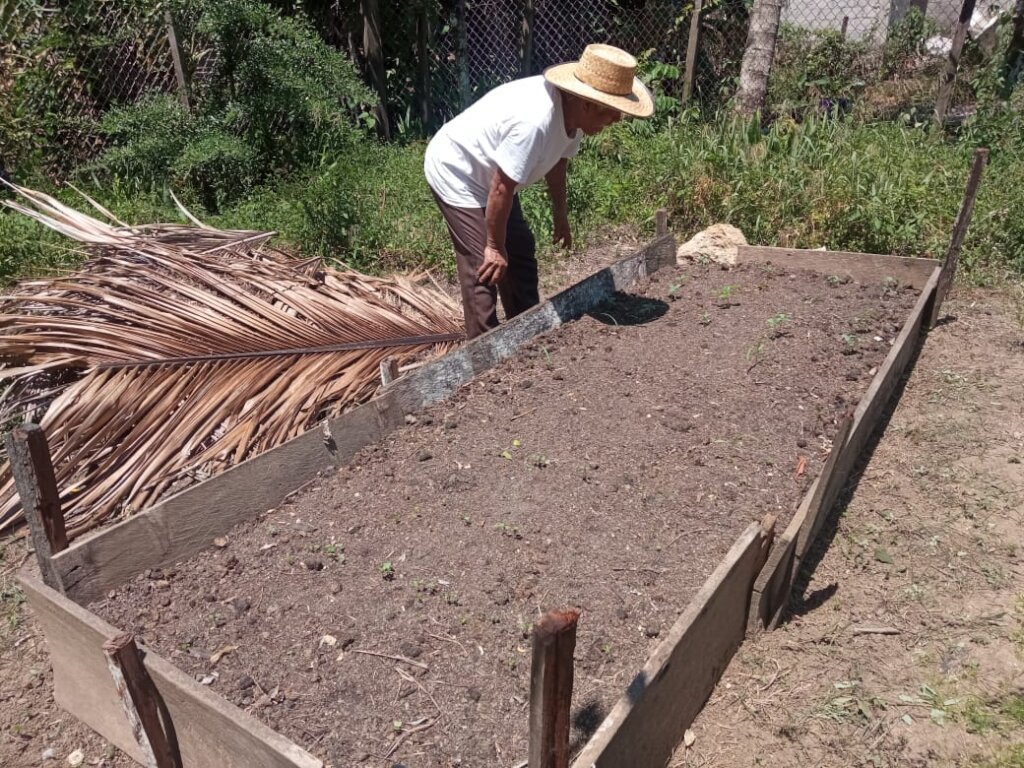 Strengthening the health of 99 Tseltal families.