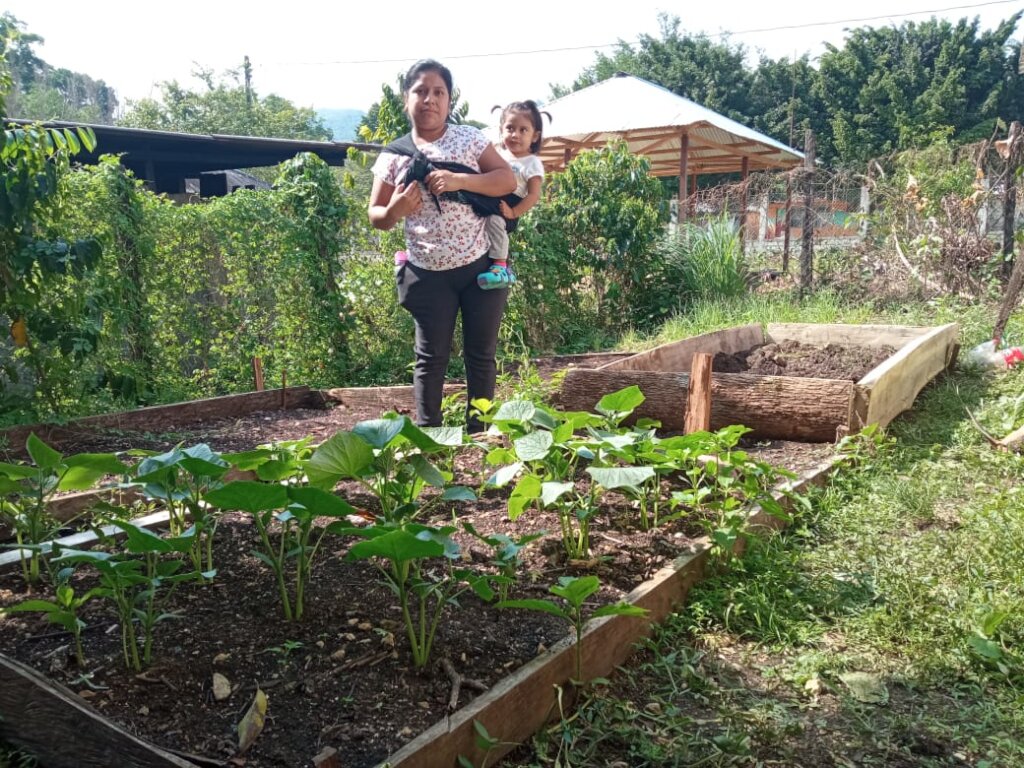 Strengthening the health of 99 Tseltal families.