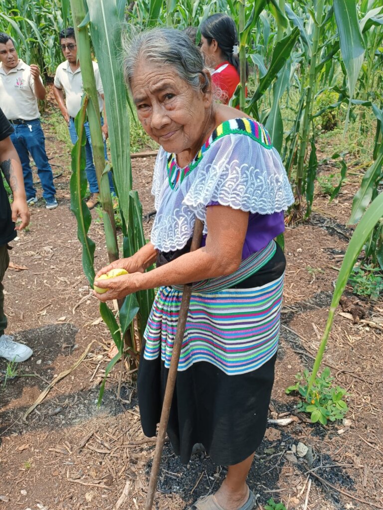 Strengthening the health of 99 Tseltal families.