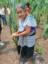 Strengthening the health of 99 Tseltal families.