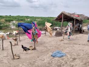 A glimpse of Sujawal