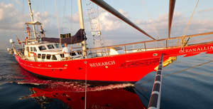 Odyssey in Gulf