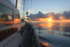 Gulf Sunset