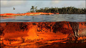 Oil on Booms and in Water