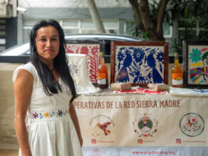 Indigenous artisan showcasing their products