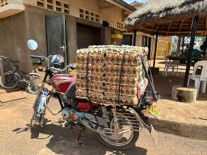 Transporting eggs is also safer on the new road!