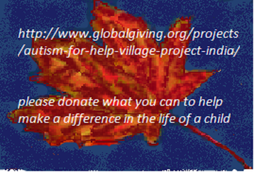 Bonus Day October 17, 2012 Autism for Help Village