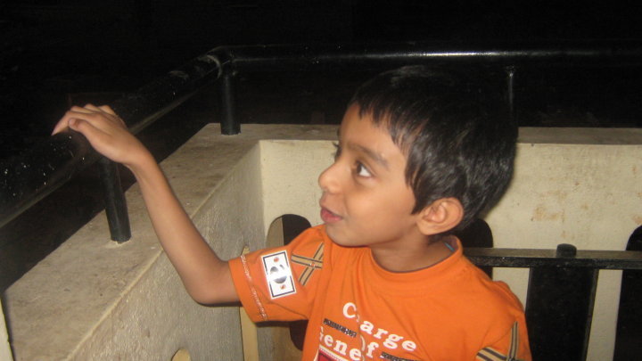 +Impact 50 Autistic Children/Families, South India