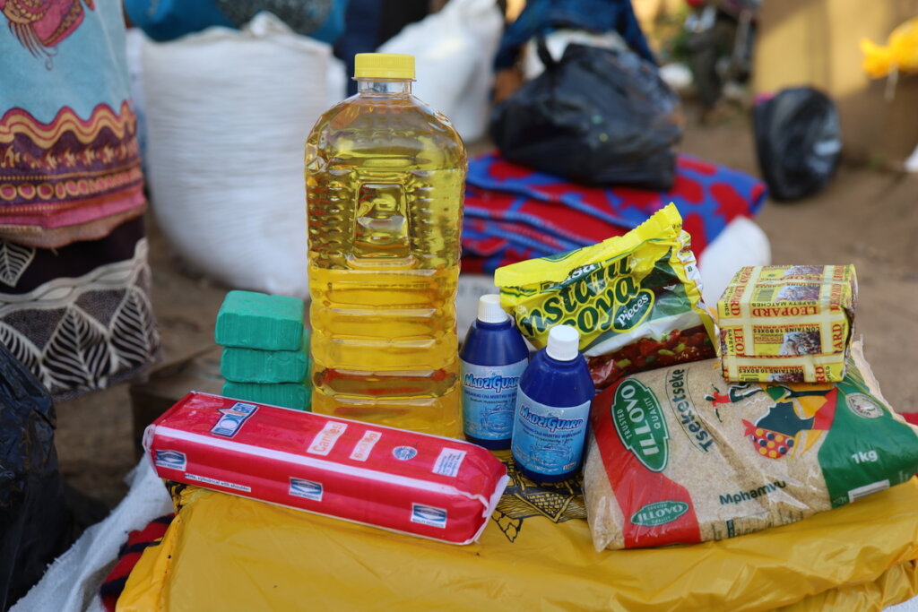 Cyclone Freddy Disaster Response in Malawi