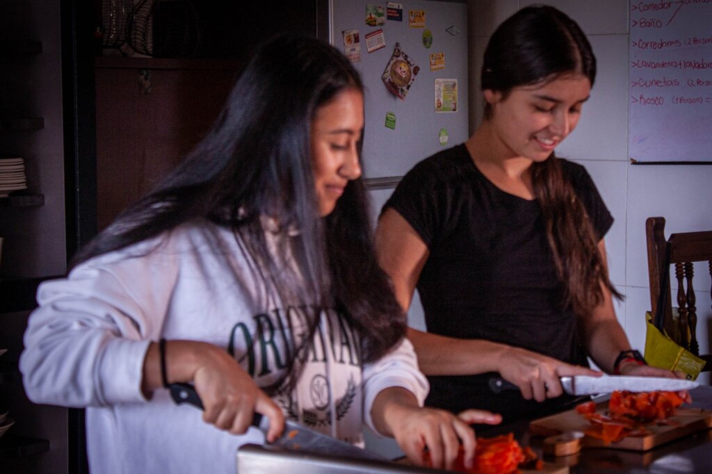 Students preparing a meal together