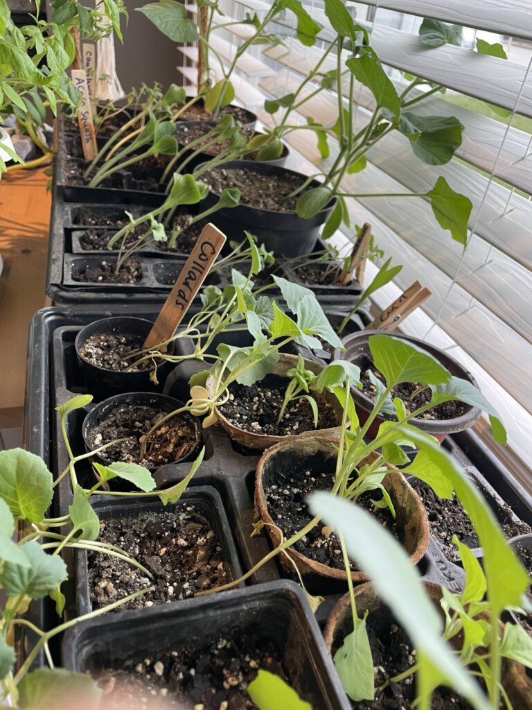 Build a US WaterHouse!