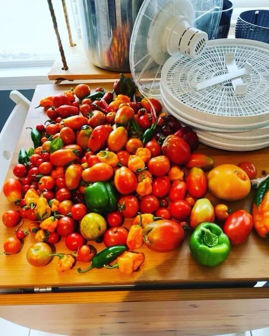 Build a US WaterHouse!