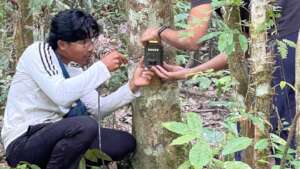 Community Rangers installing camera traps