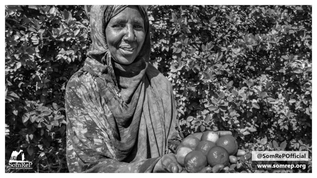 Who is my neighbor? - Somalia Hunger Crisis Appeal
