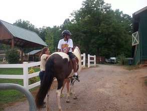 Hippotherapy includes riding backward