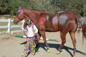 Giddyup, Old Paint