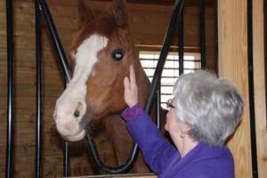 Glenna greeting Amazzing, a therapy horse