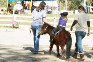 Little horse, little rider