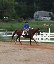 During a therapeutic riding session