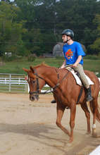 Tony & Pumpkin during therapy