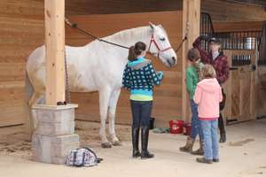 Volunteers Preparing the Horses