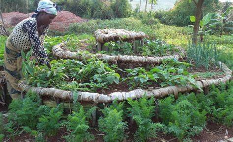 Food support to 400 orphans family's in Rwanda