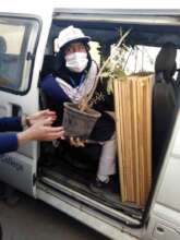 students busy in voluntary service