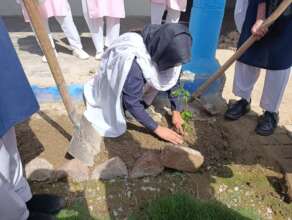 Spring plantation drive