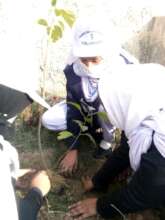 Grade 11th students busy in plantation