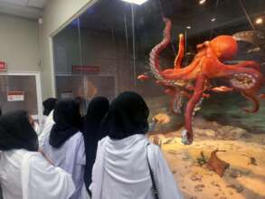 students at natural museum
