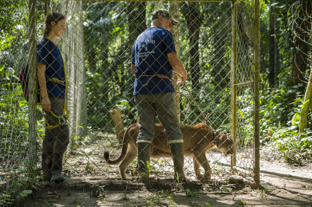 Time to renovate the Ambue Ari comedor!