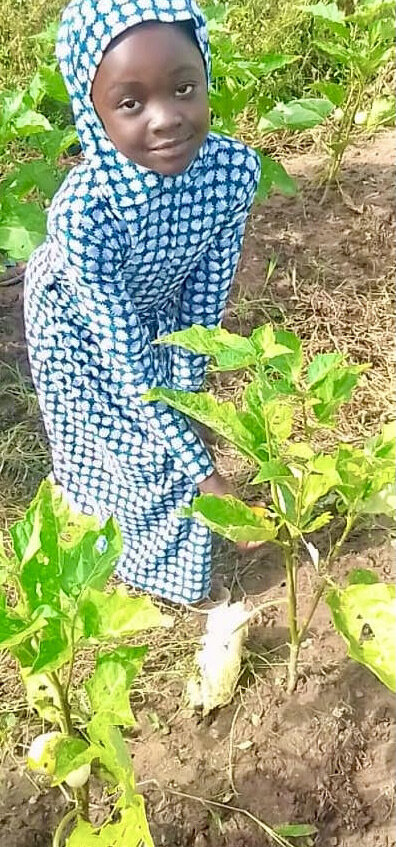 Empower children to plant gardens and trees