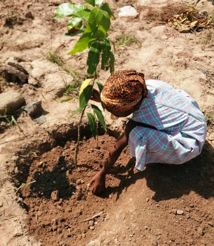 Empower children to plant gardens and trees