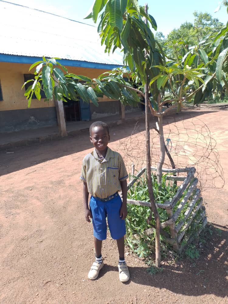 Empower children to plant gardens and trees