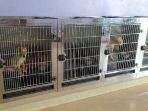 New stainless steel cages - 9 are on order now