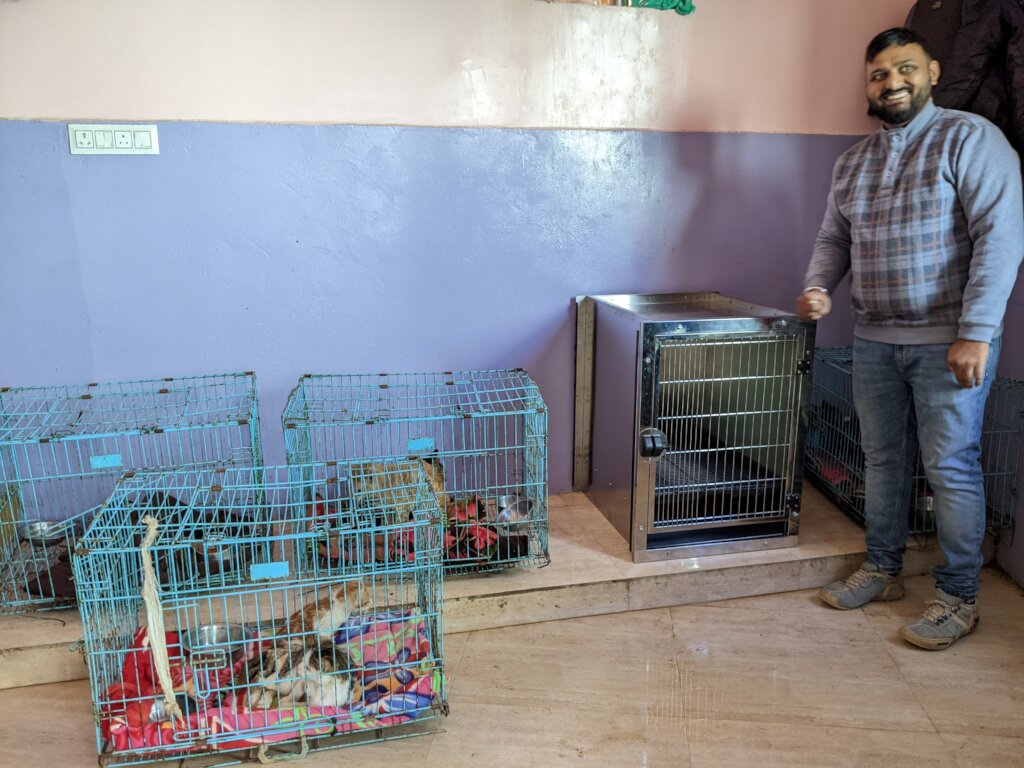 Improve Hospital Care for Rescued Cats in India