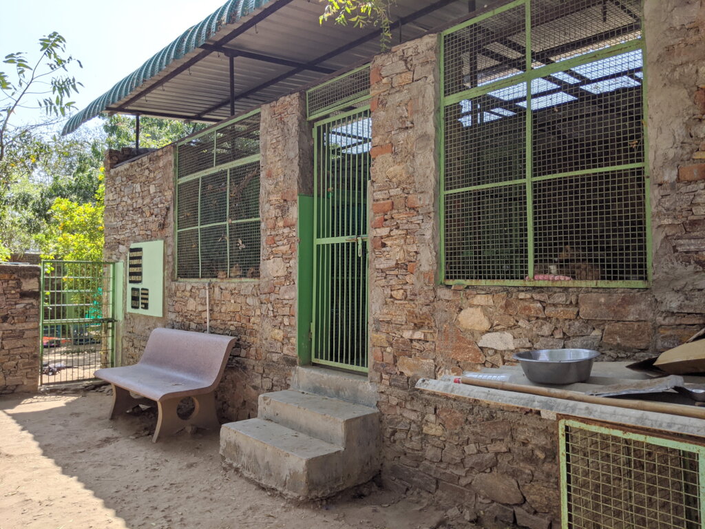 Improve Hospital Care for Rescued Cats in India