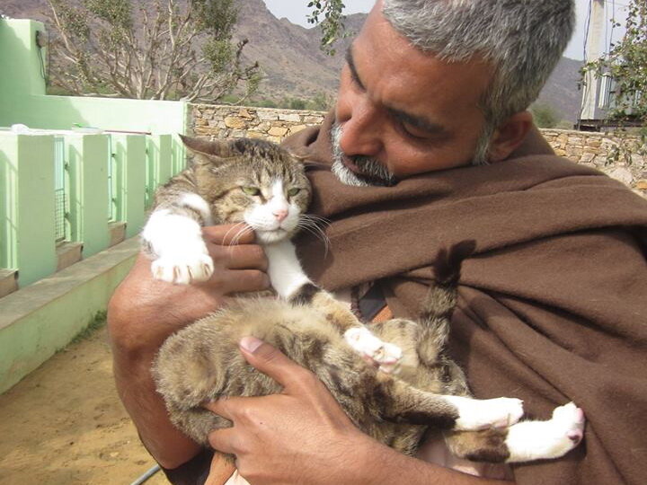 Improve Hospital Care for Rescued Cats in India